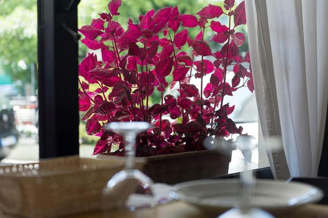 Hotel Annarita Rimini Extérieur photo